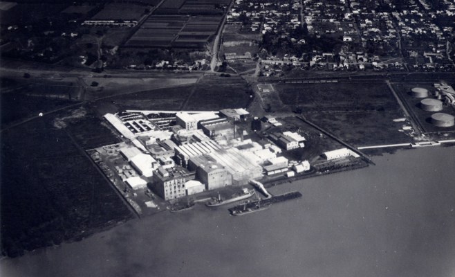VILLA SMITHFIELD Y FRIGORIFICO DESDE EL RIO