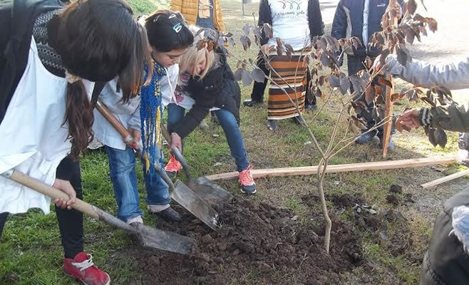 Alumnos Arboles