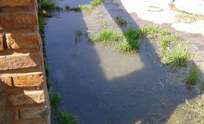 barrio-vipermun-lima-2
