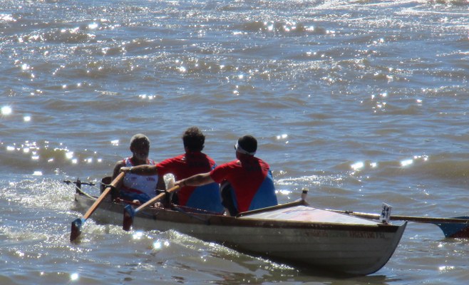 regata-21_658x400