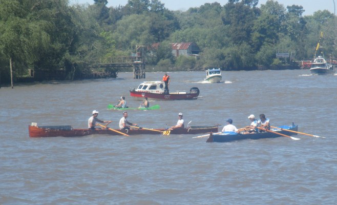regata 