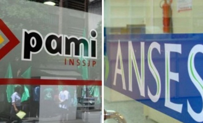 PAMI/ANSES