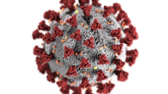 ¿Puede una nueva variante del Covid-19 llevarnos de regreso al inicio de la pandemia?