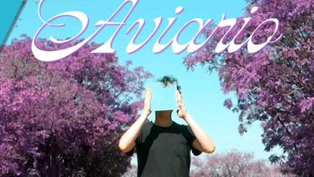 Llega la muestra “Aviario”, una proyección de video sobre espejos suspendidos