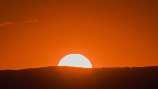 “NUESTRA FUTURA ALEGRÍA” por Guillermo Rivelis