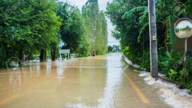 "VERSIONES (escrito en pandemia)" por Guillermo Rivelis