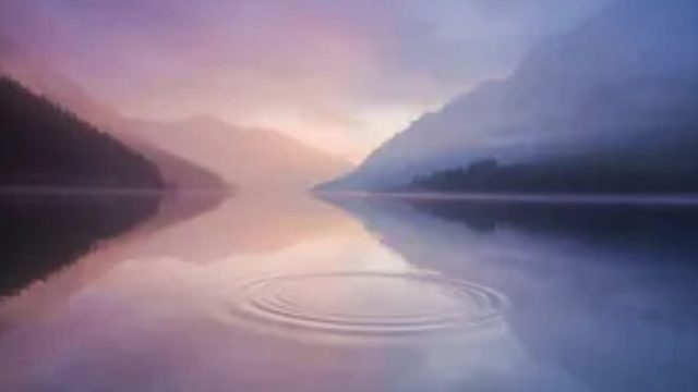 “INERTES” por Guillermo Rivelis