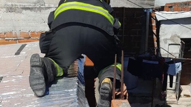 Bomberos rescataron a un gatito atrapado entre paredes
