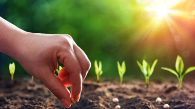 “TRANSFORMACIÓN QUE ES FUTURO” por Guillermo Rivelis