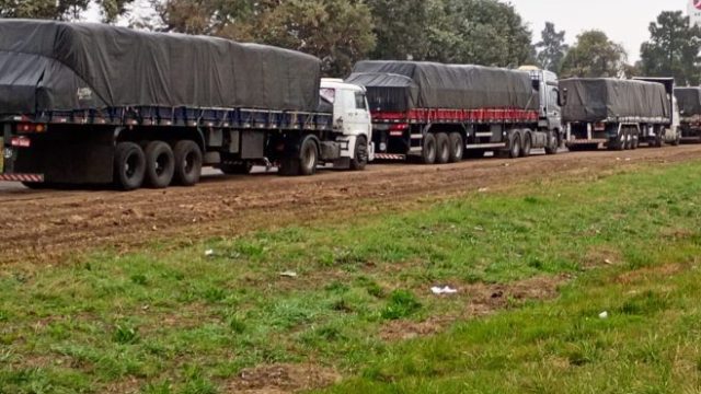 Un convoy de 47 camiones brasileños sorprendió en la zona de Servitruck, en Zárate