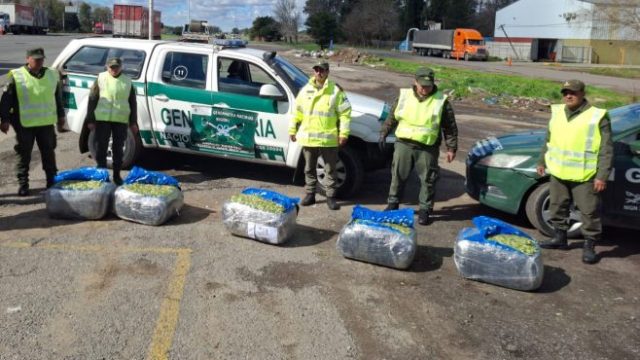 En Zárate, Gendarmería interceptó 115 kilos de hojas de coca