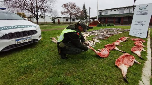 Zárate: decomisaron fauna silvestre y más de 12.000 paquetes de cigarrillos