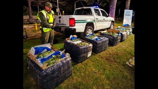 Ruta 9: Controlan un transporte con encomiendas y descubren 359 kilos de hojas de coca