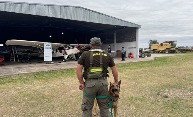 Aeronaves secuestradas por Gendarmería durante allanamientos por una causa de narcotráfico en Tucumán