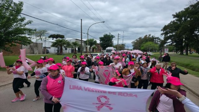 Lima se vistió de rosa en una nueva caminata de concientización