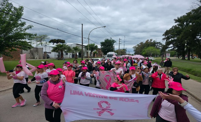 Lima - Caminata Rosa